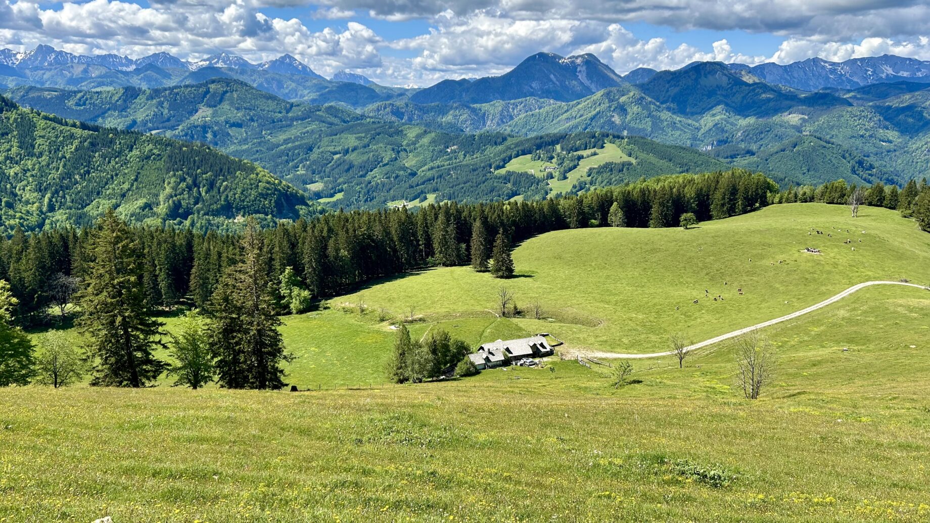 Gschwendtalm. Foto Veronika Schöll