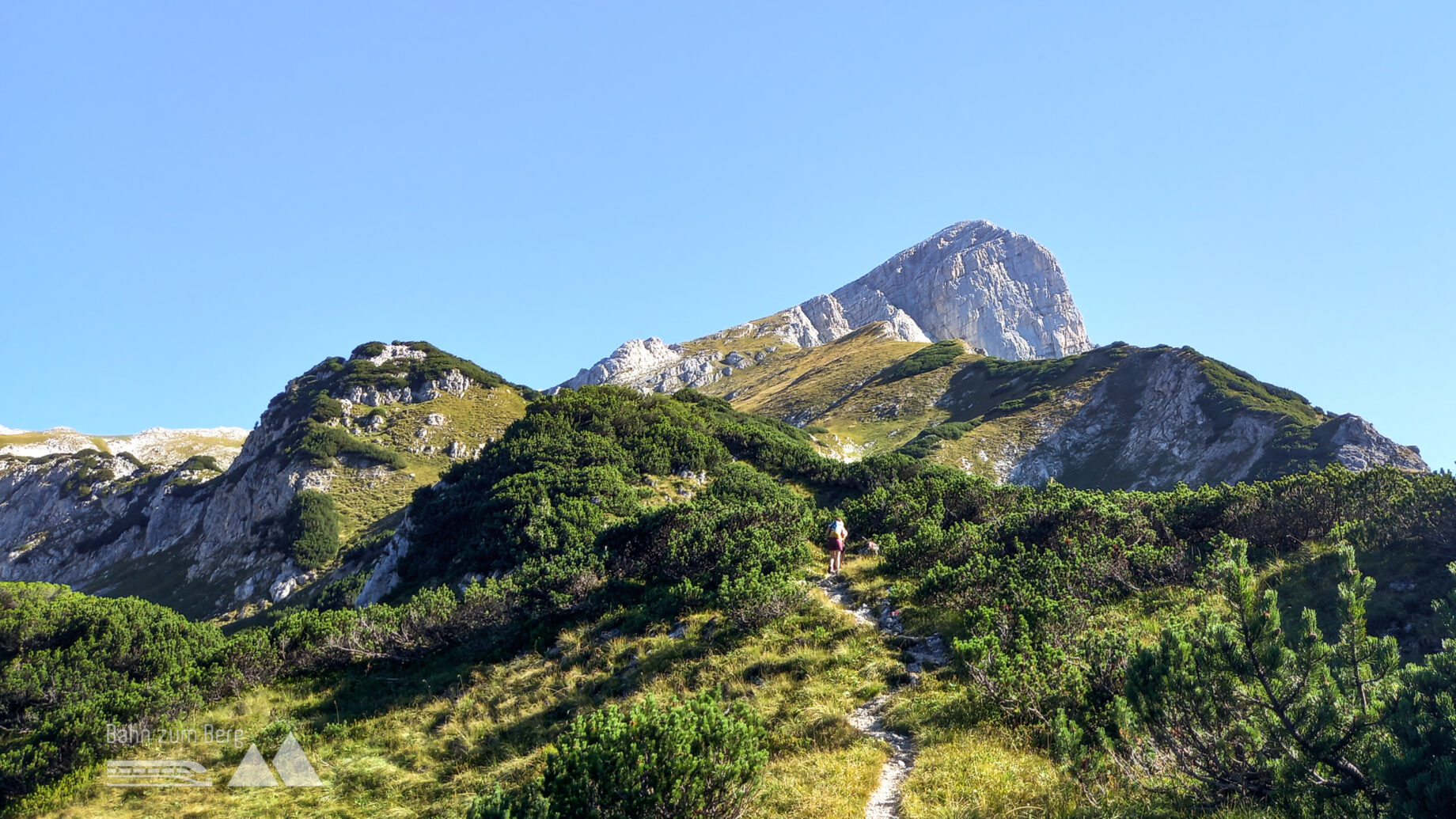 Durch Latschenfelder geht es dem Ziel entgegen. Foto: Martina Friesenbichler