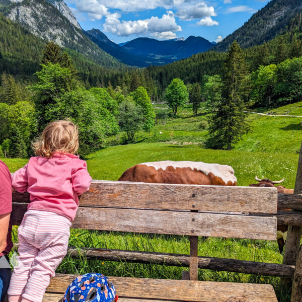 Oben auf der Alm angekommen, mit Brotzeit, Kühen und Blick Richtung Berchtesgaden. Foto: Maresa Brandner